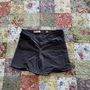 Anthropologie Pilcro & Letterpress Grey Shorts 29